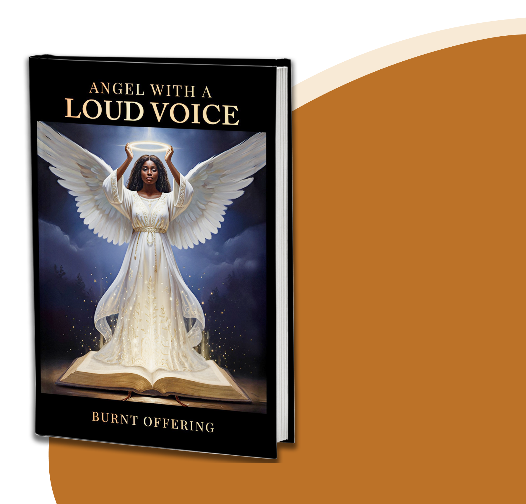 Angel with wings book cover